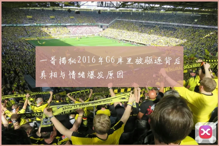 一哥揭秘2016年G6库里被驱逐背后真相与情绪爆发原因